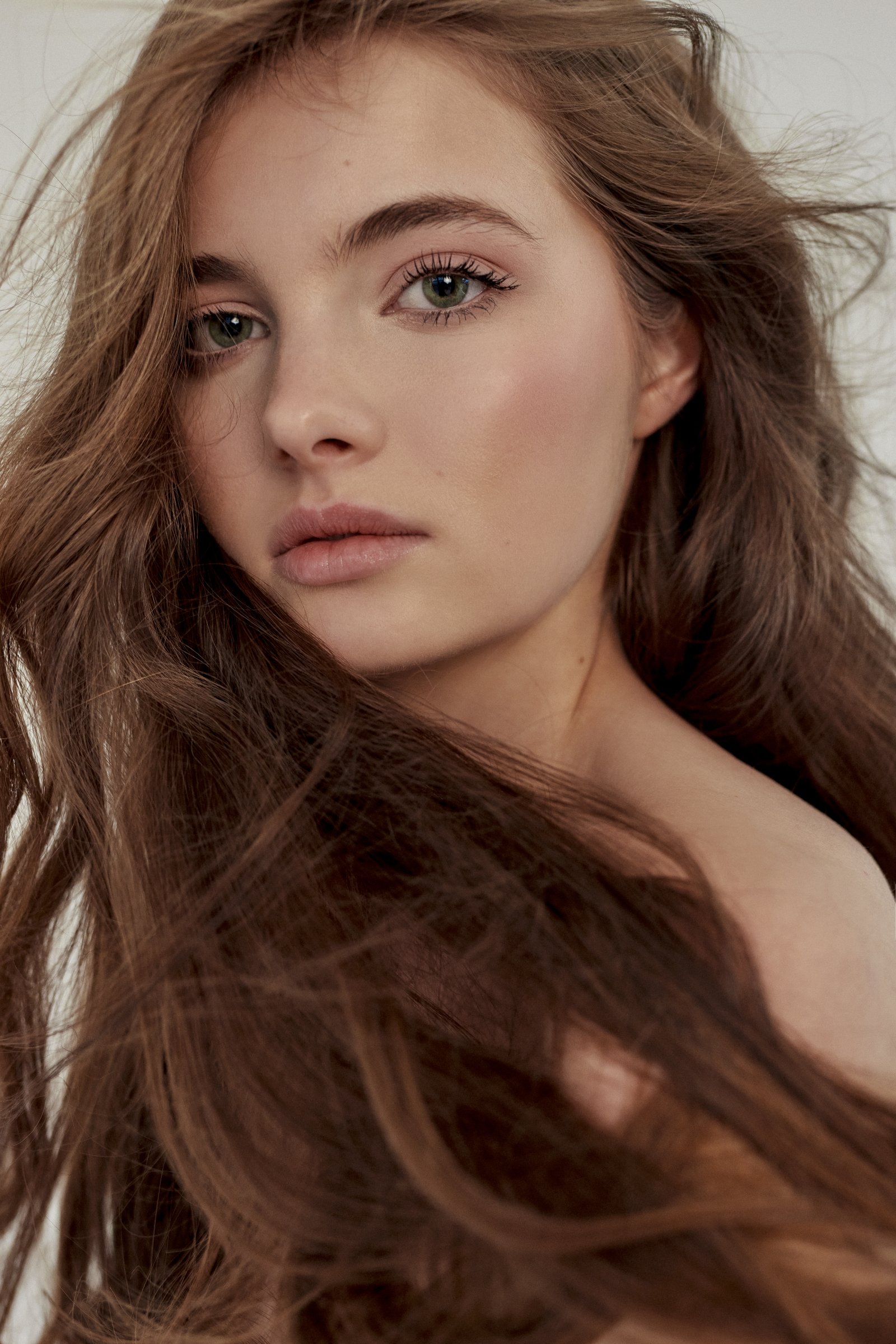 Model feed image