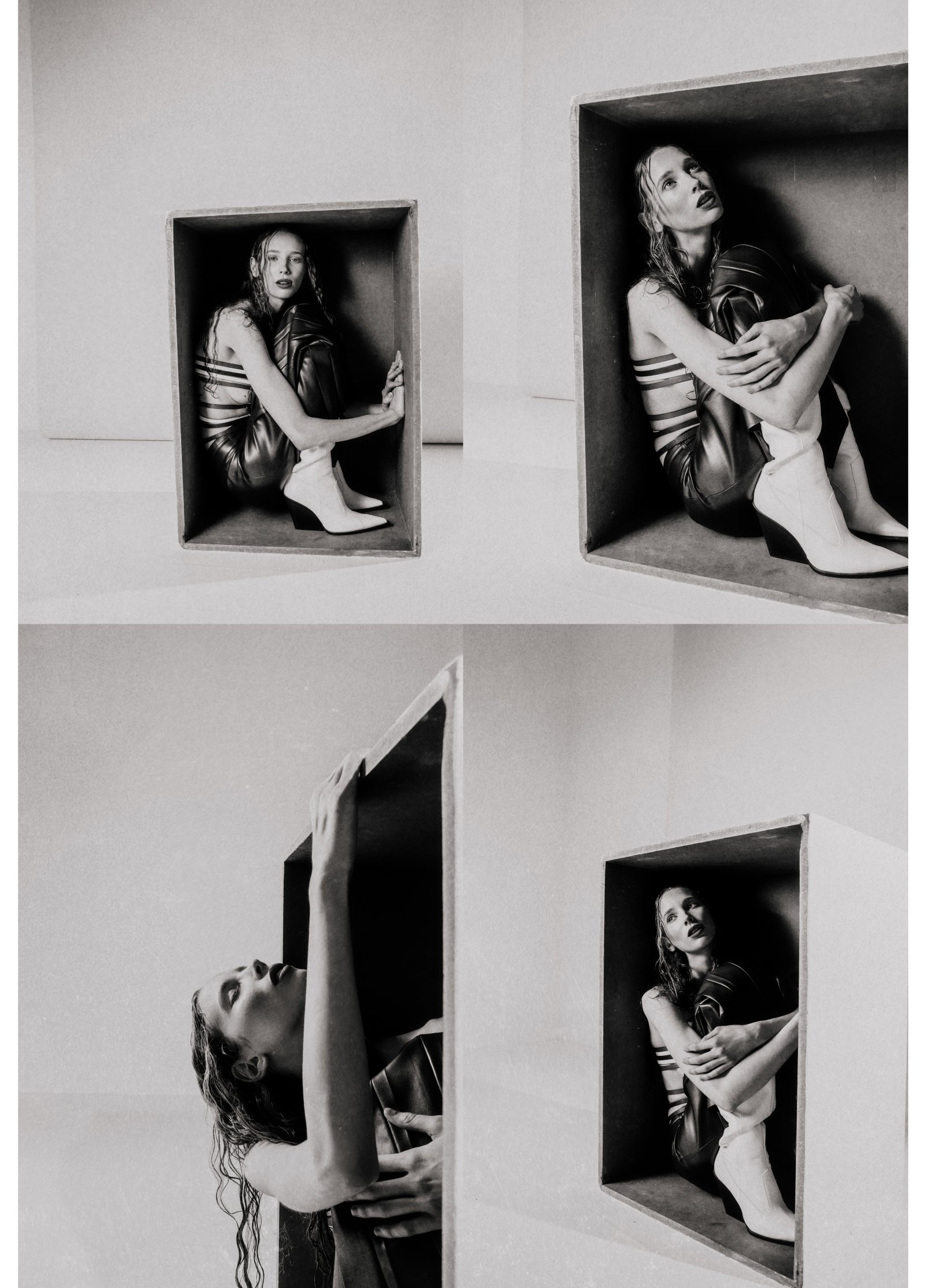 Model feed image