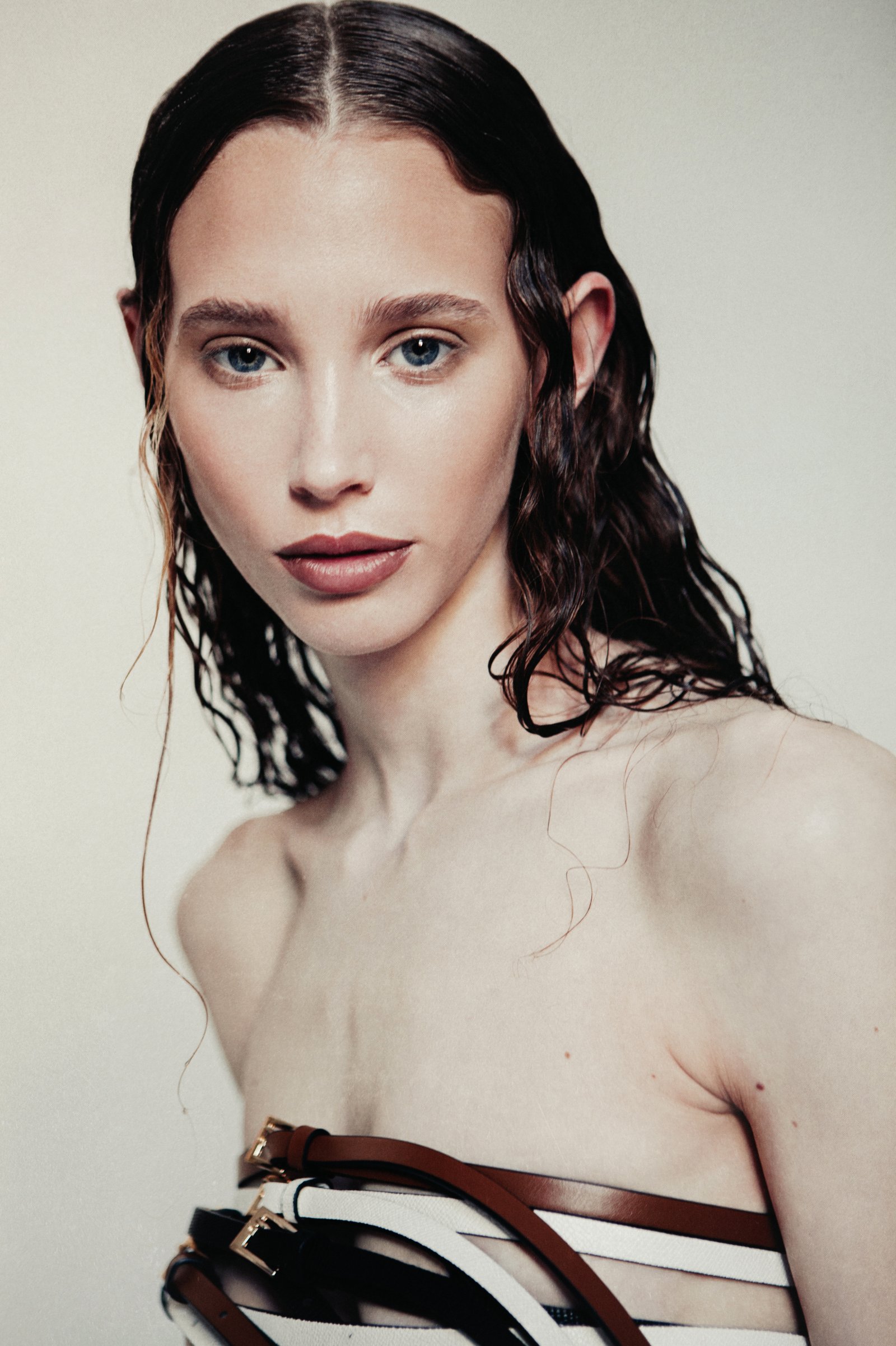 Model feed image