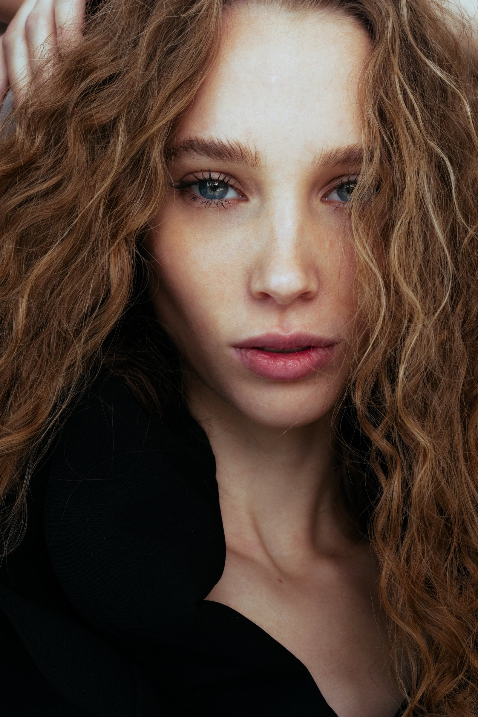 Model feed image