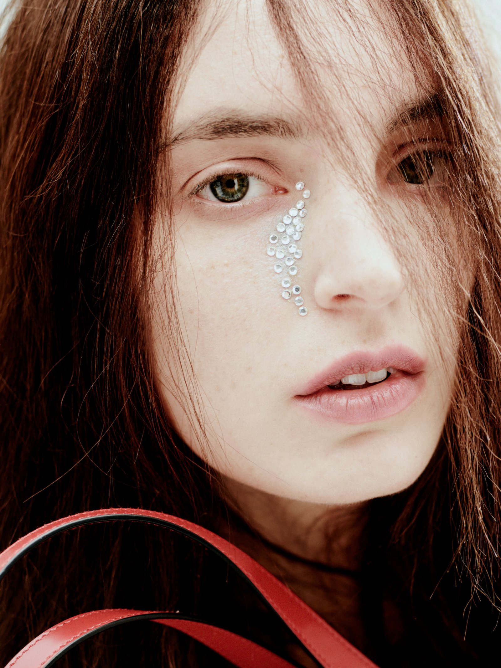 Model feed image