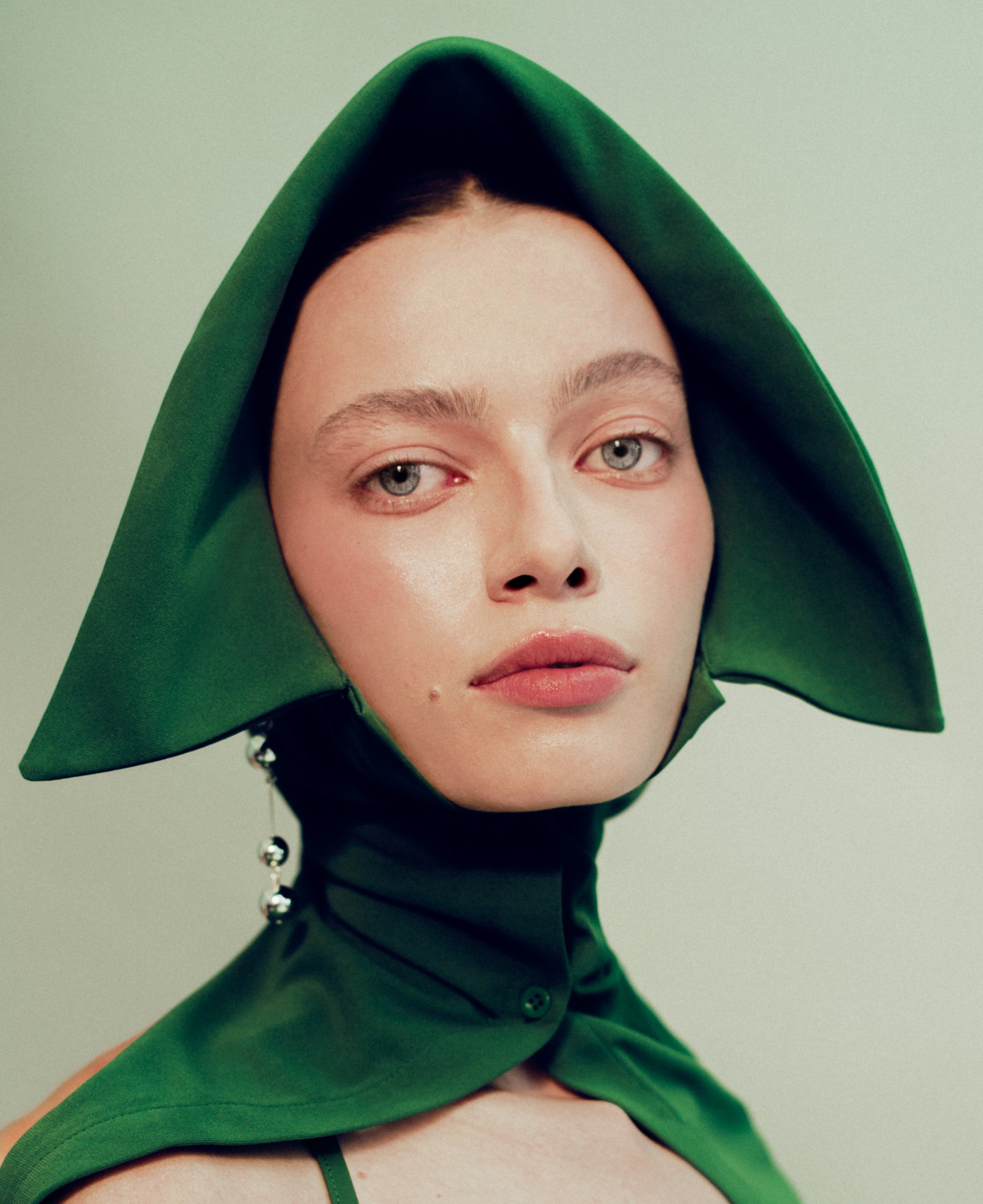 Model feed image