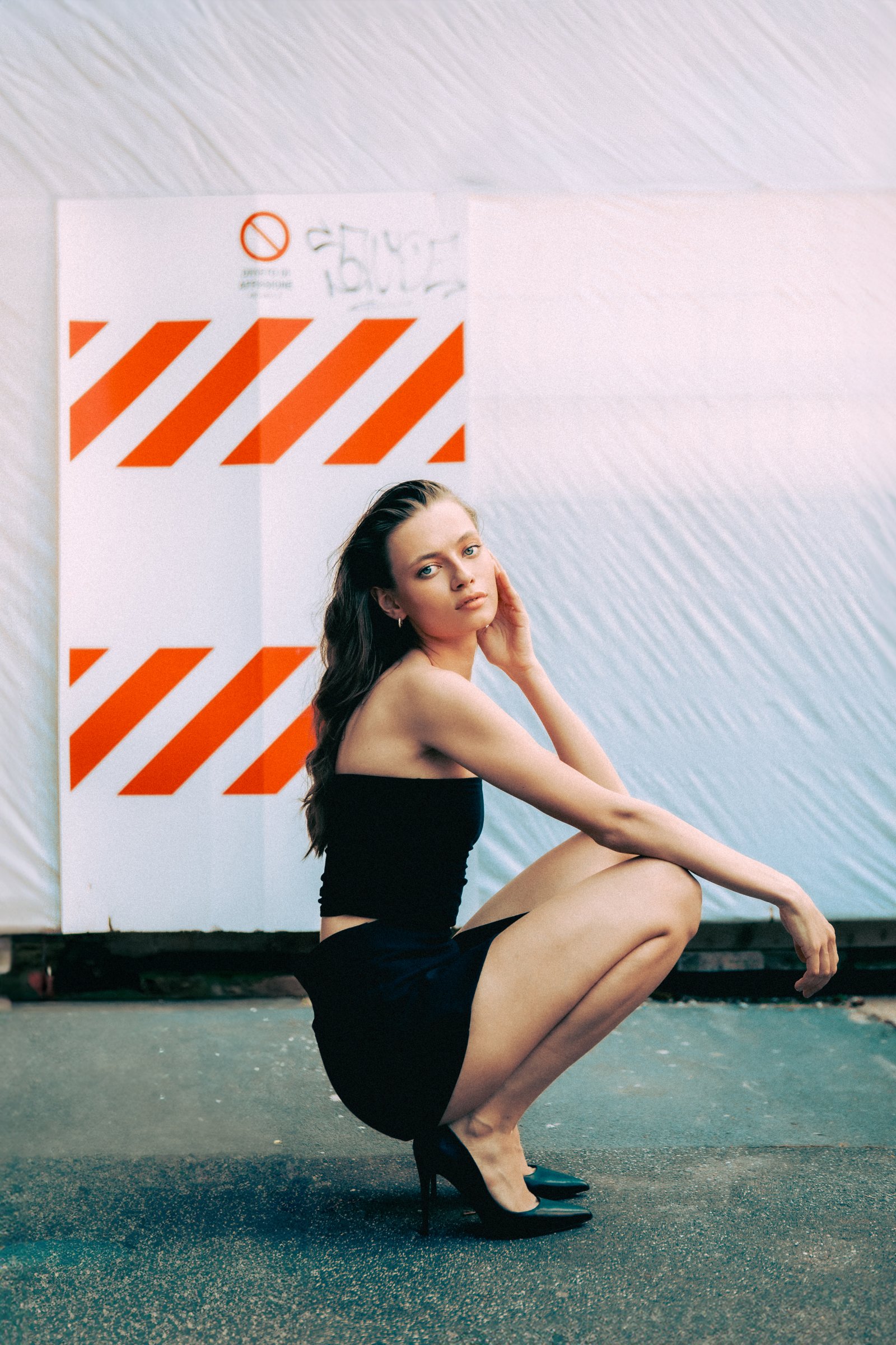Model feed image