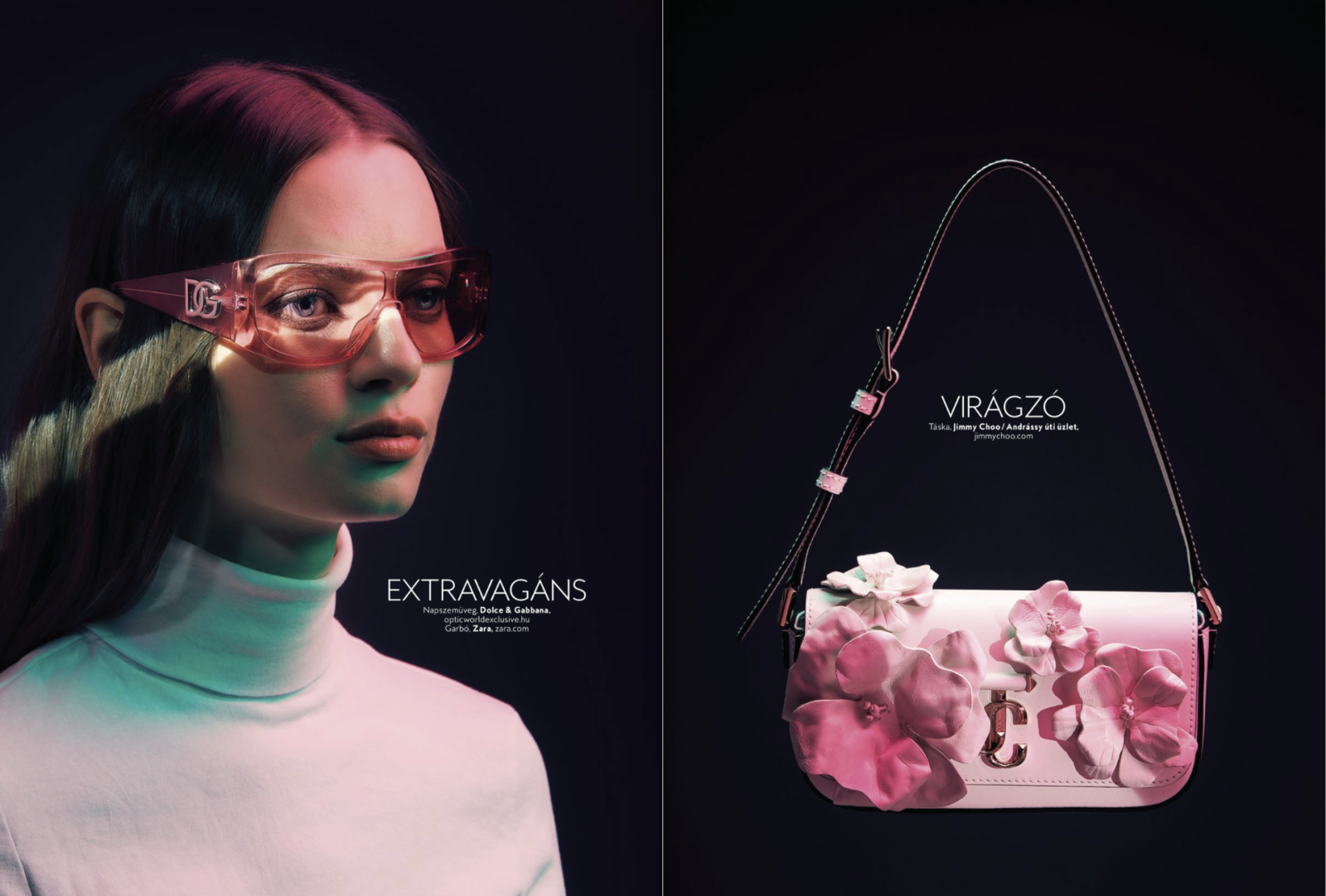 Model feed image