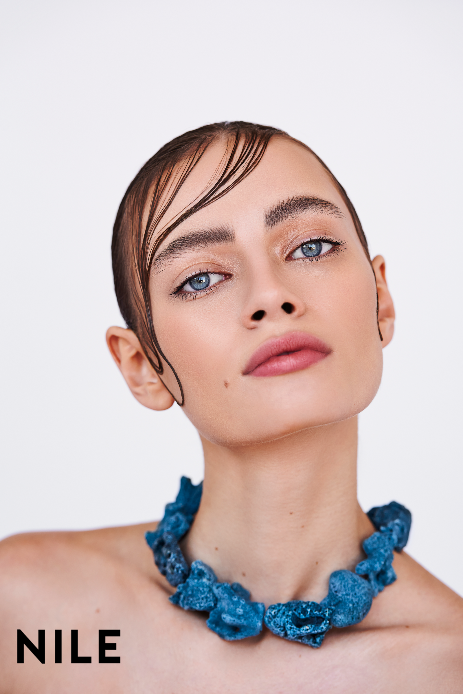 Model feed image