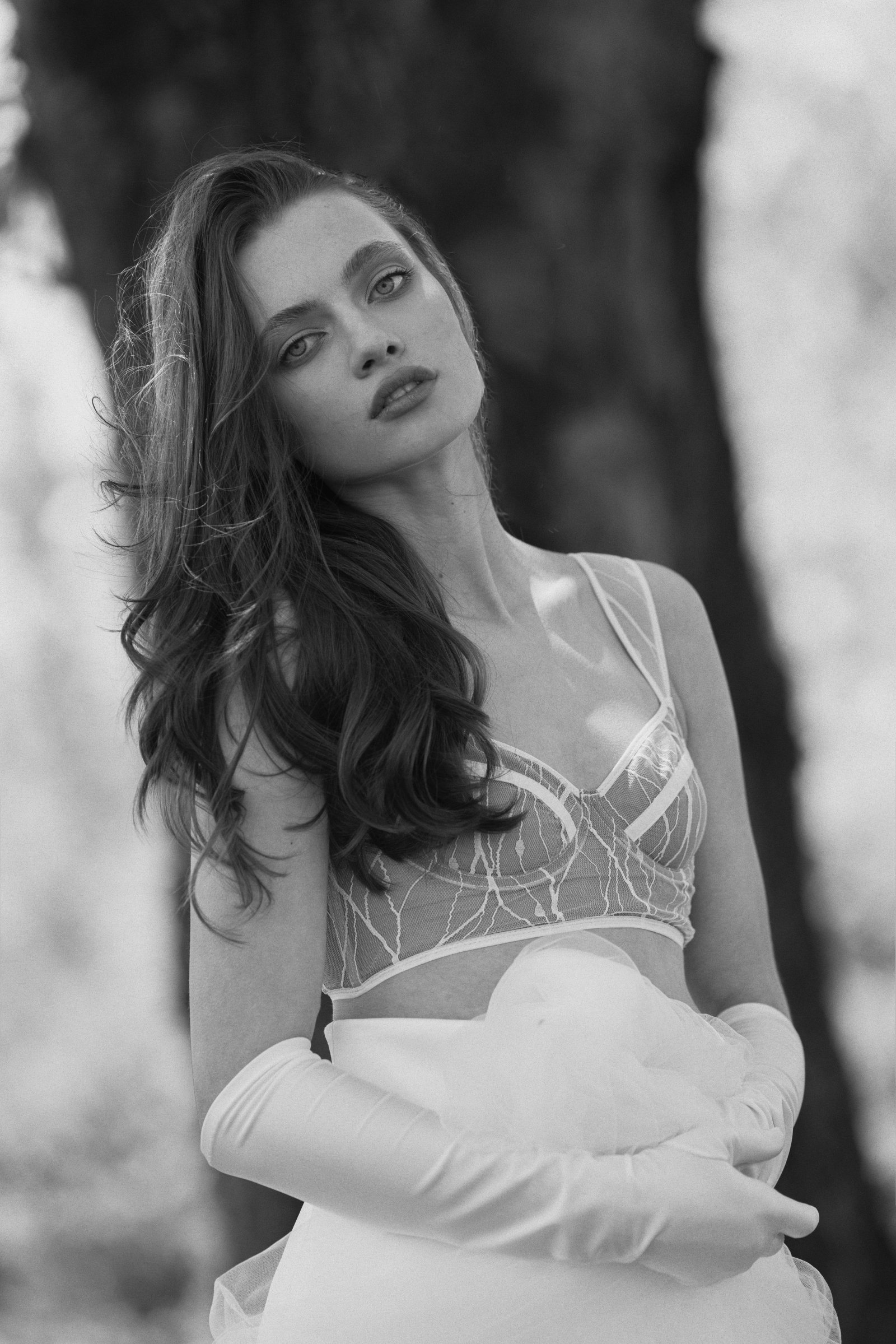 Model feed image