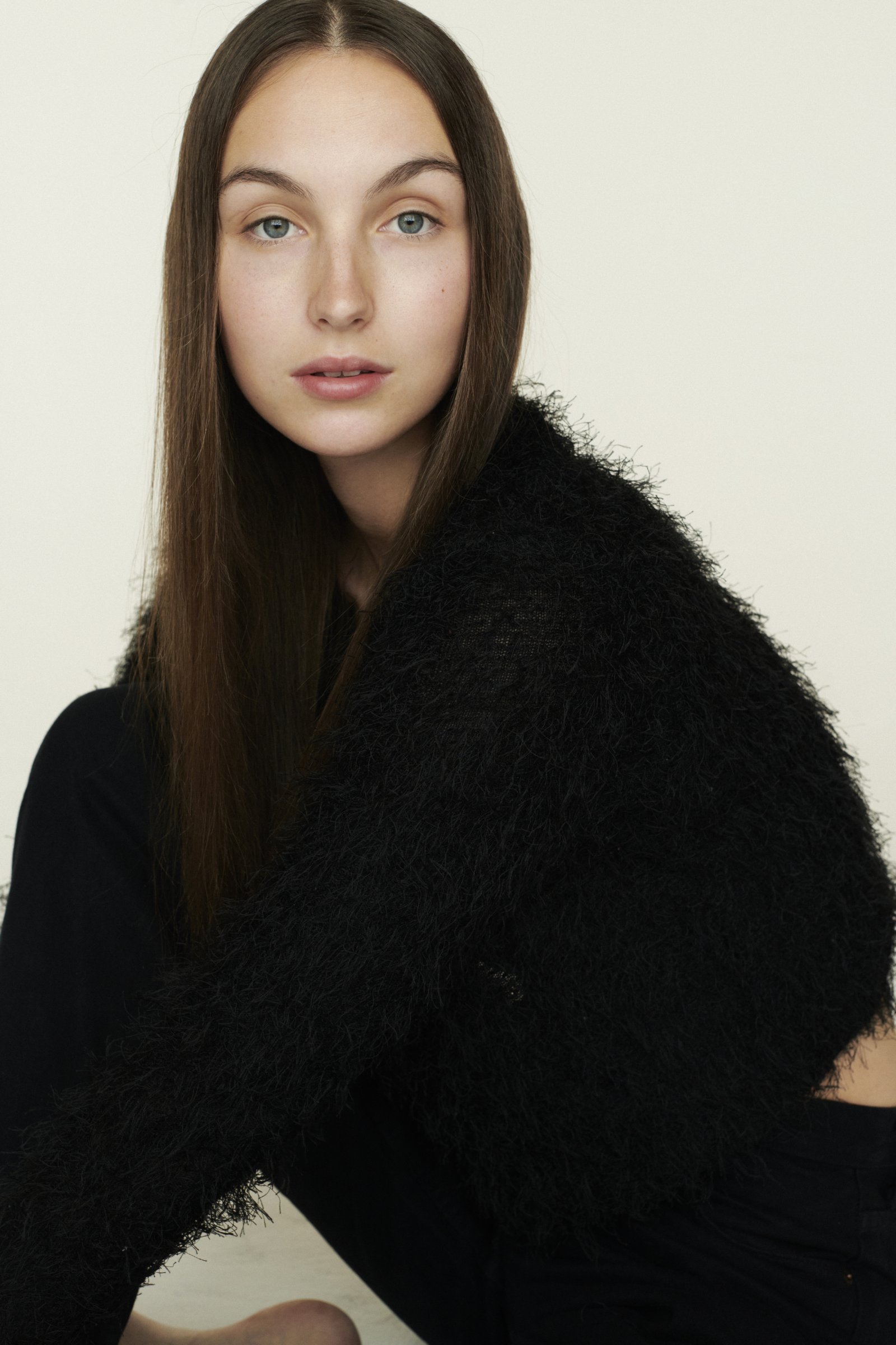 Model feed image