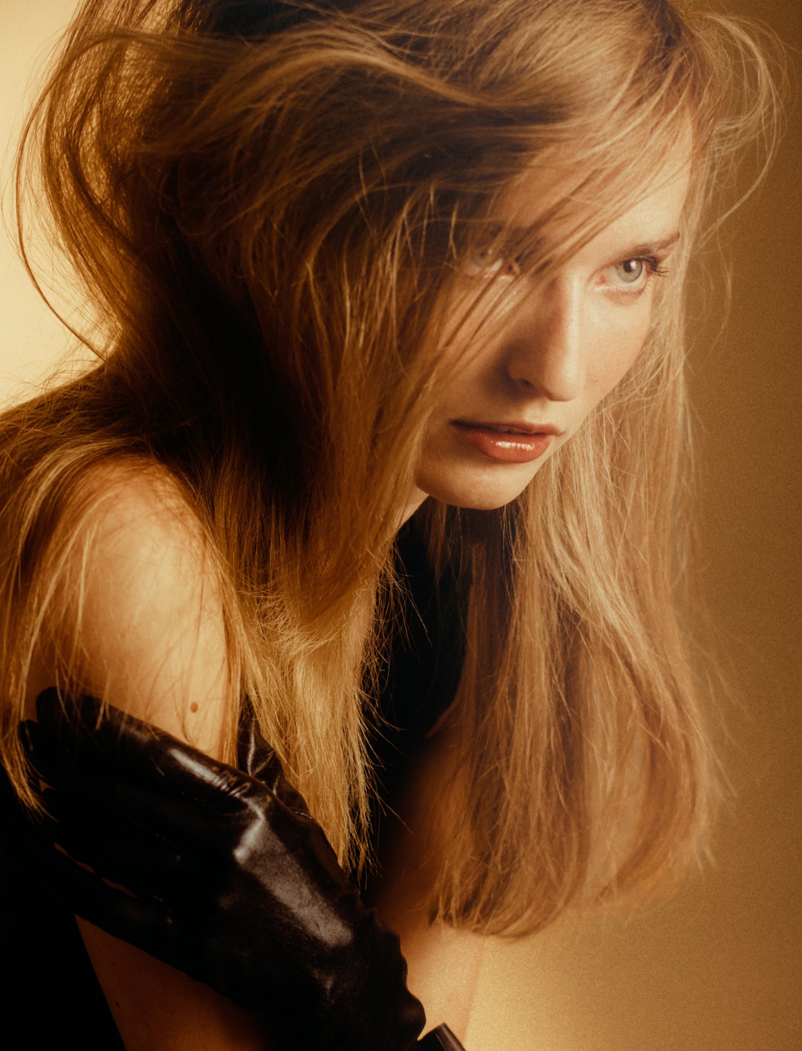 Model feed image