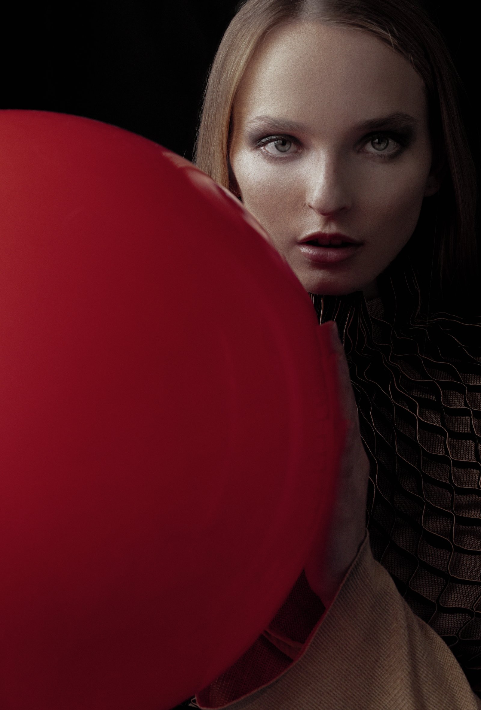 Model feed image