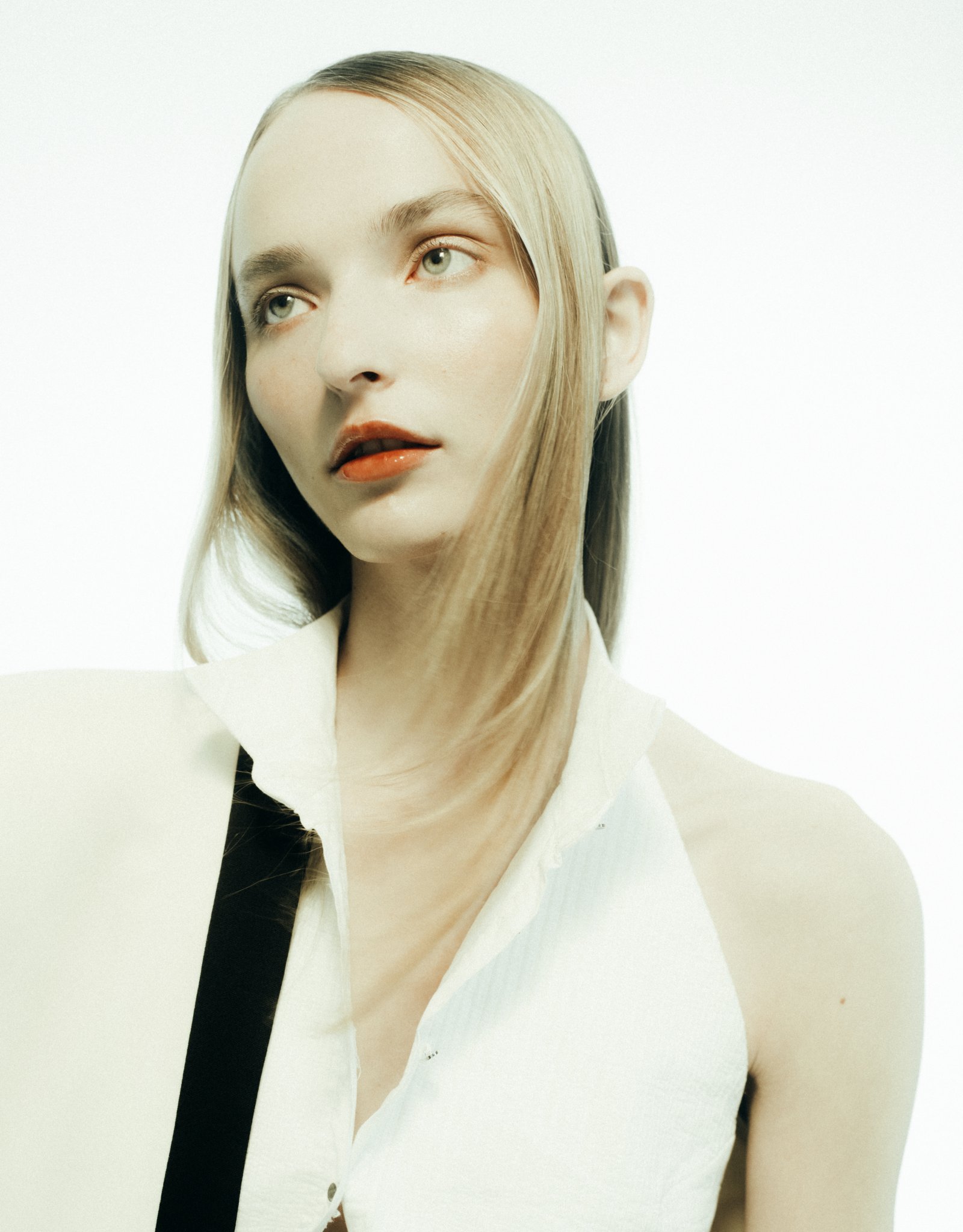 Model feed image