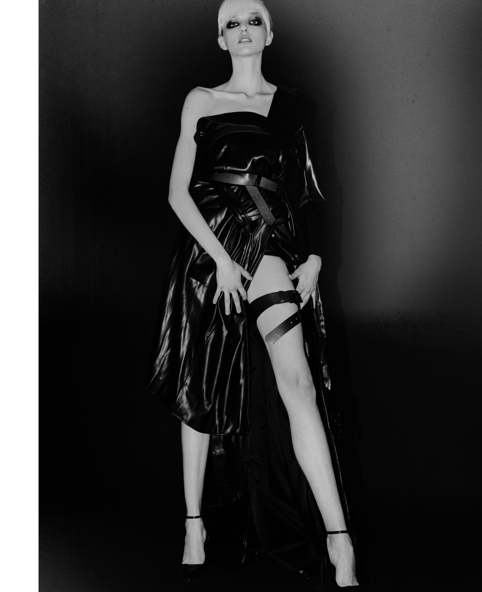 Model feed image